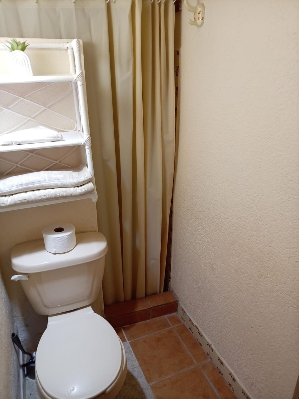 La camelina Vacation rental in Guanajuato