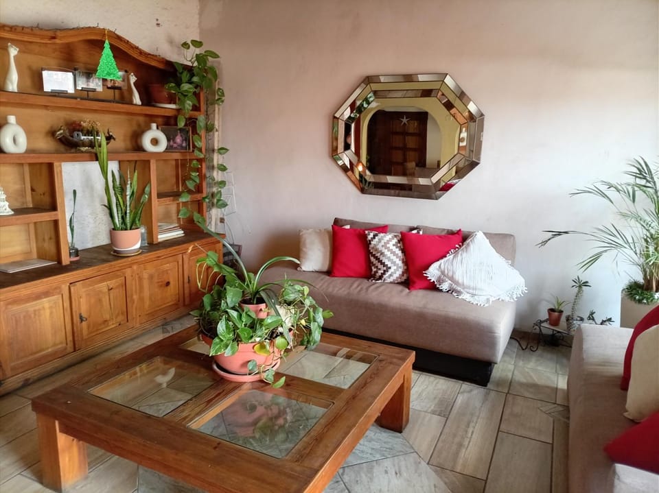 La camelina Vacation rental in Guanajuato