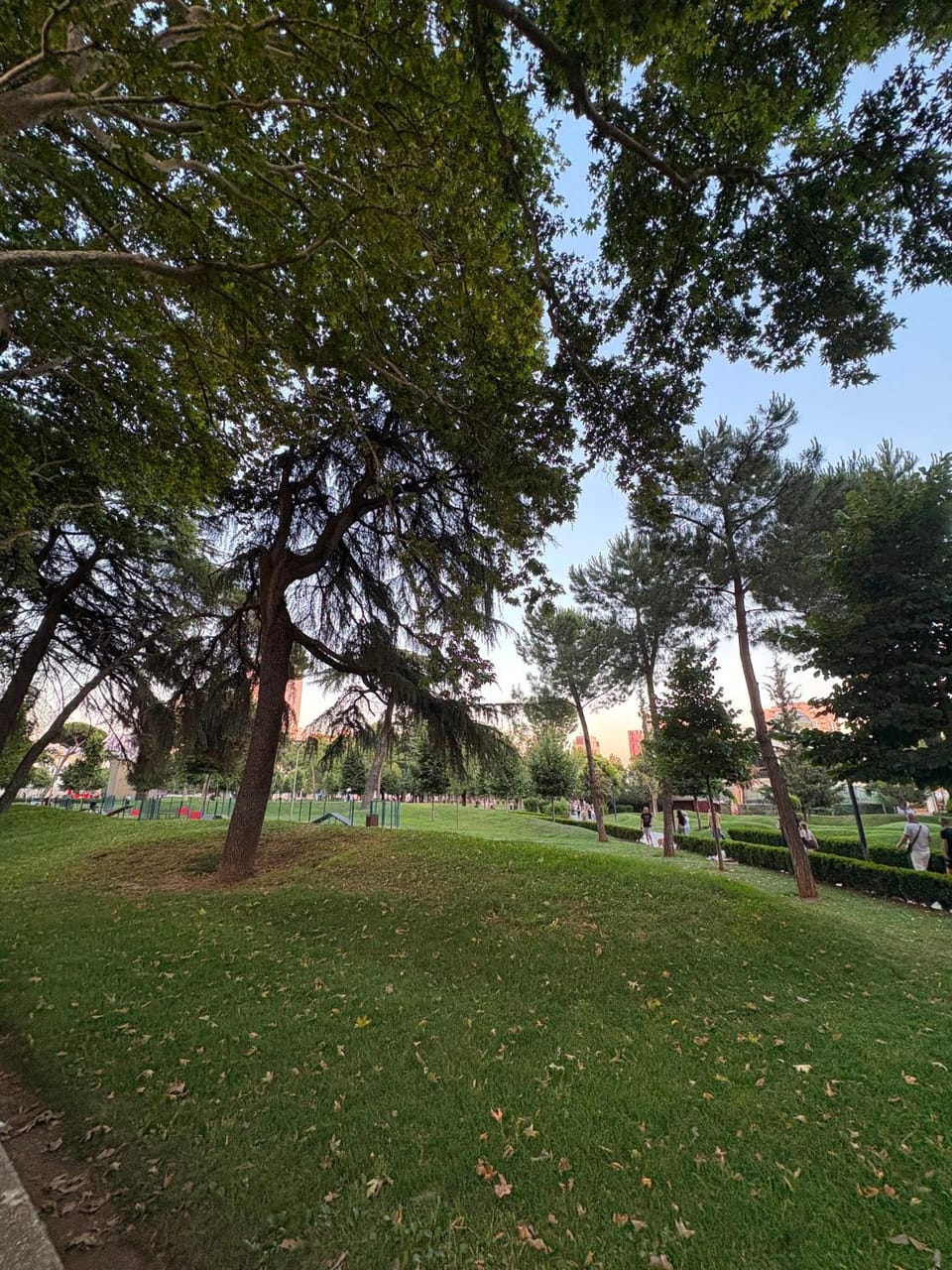 Natural landscape
