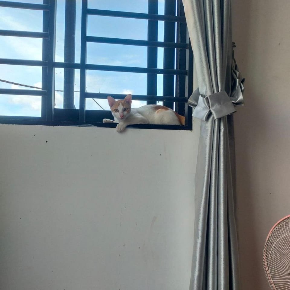 The Y Shop Apartment in Krong Siem Reap