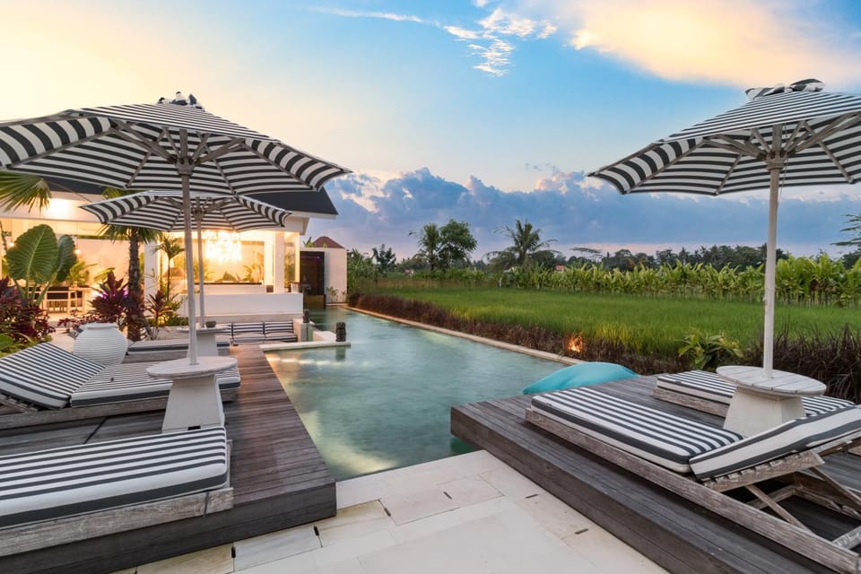Swimming pool, sunbed