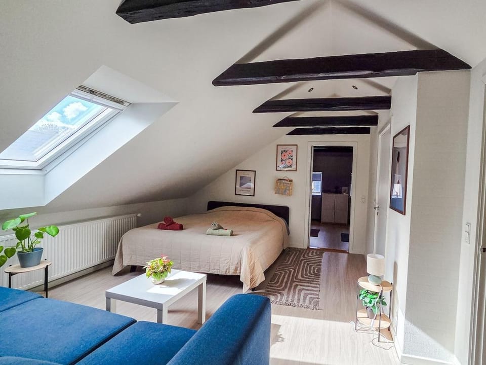 Large cozy, good location, open terrace Apartment in Aalborg