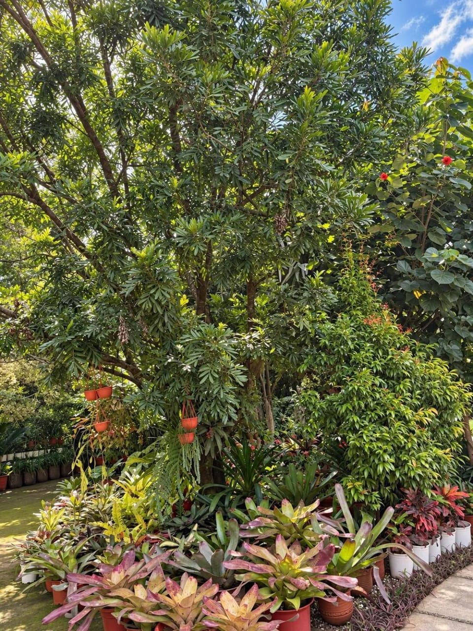 One bedroom Shanty botanical by The Prime Escape Apartment in Tanzania