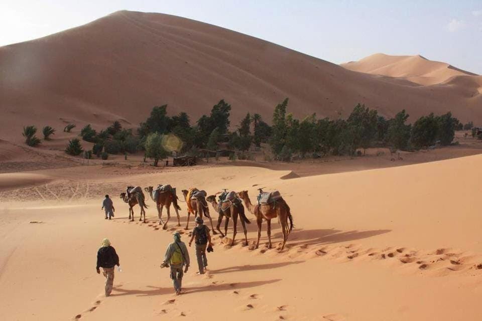 Said luxury camp Merzouga Luxury tent in Morocco