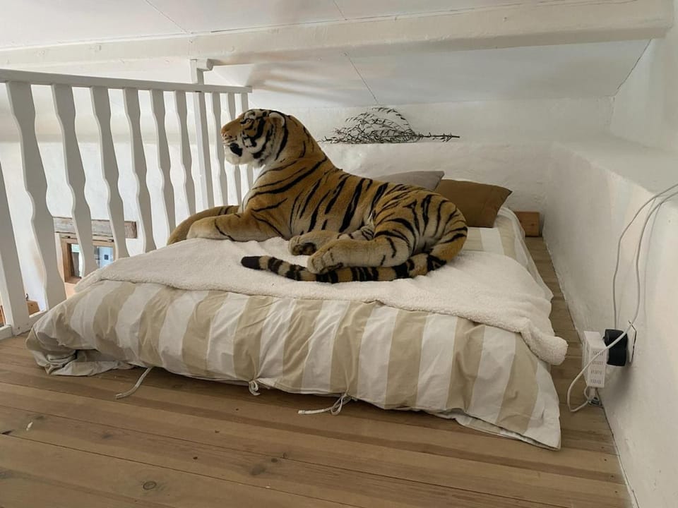 Maisonnette la Flamengo House in Provence-Alpes-Côte d'Azur