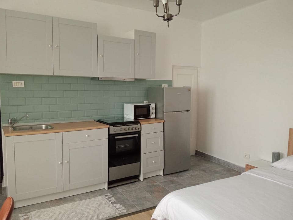 Downtown Crib Apartment in Timiș County