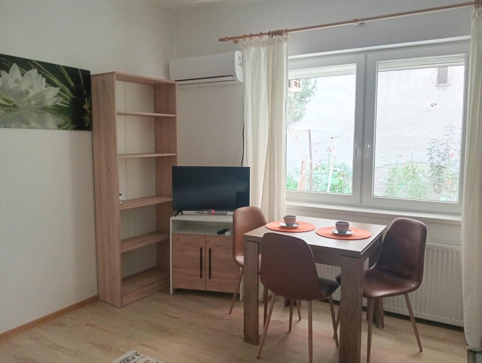 Downtown Crib Apartment in Timiș County