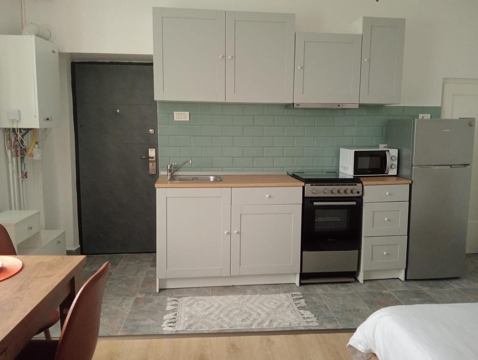 Downtown Crib Apartment in Timiș County
