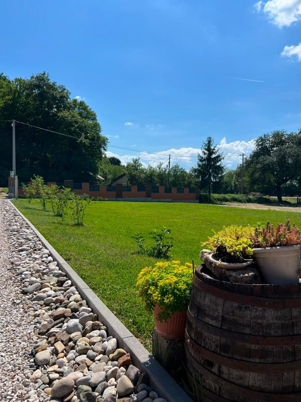 Property building, Garden, Garden view