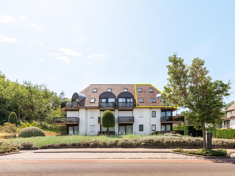 Property building, Summer