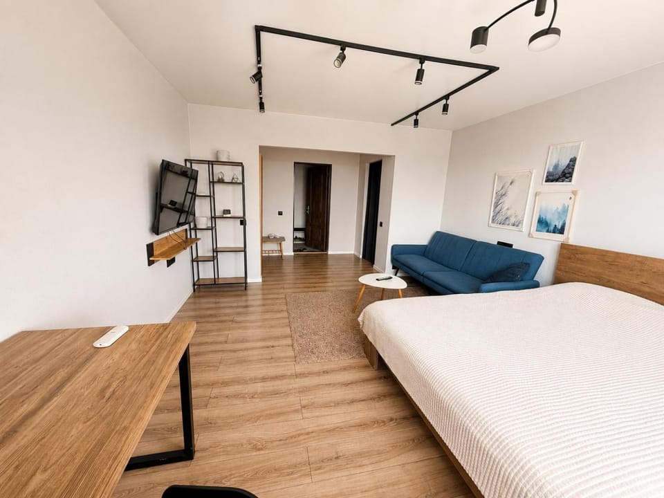 Bed, Day, TV and multimedia, Living room, Photo of the whole room, Seating area, Bedroom, furniture, hair dresser, heating, air conditioner