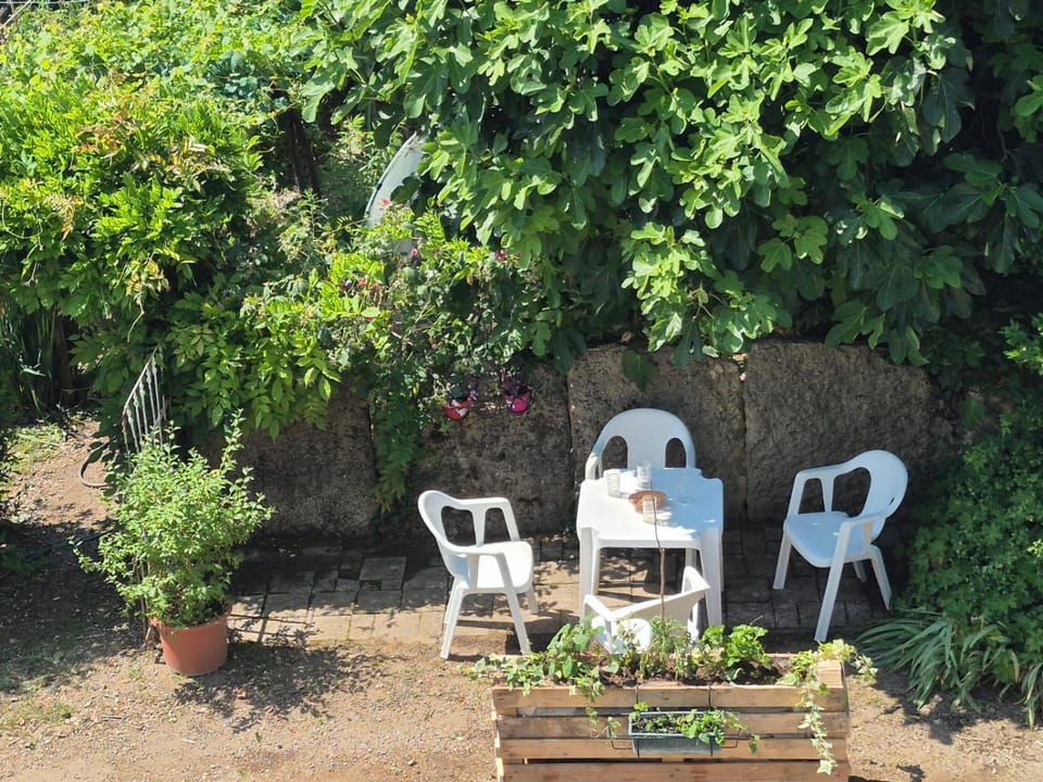 Dining area, Garden view