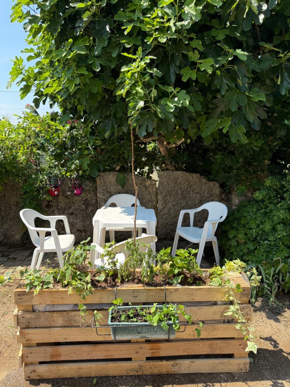 Garden view