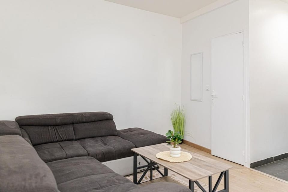 Le Feu de Bois - Appartement chaleureux au cœur D'Orléans Apartment in Orléans