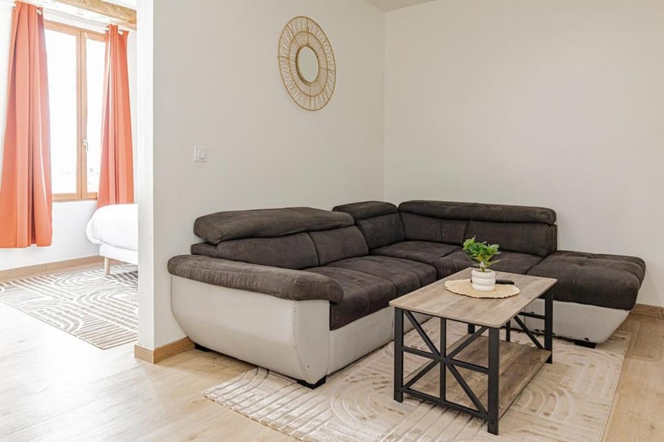 Le Feu de Bois - Appartement chaleureux au cœur D'Orléans Apartment in Orléans