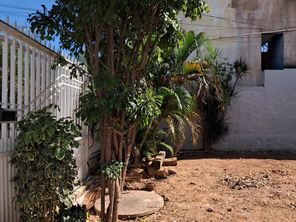 Day, Garden, Garden view