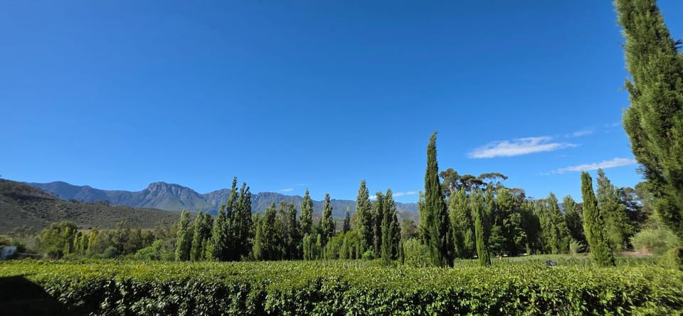 Best Place Ever - Wolwekloof Wine Farm Bed and Breakfast in Western Cape
