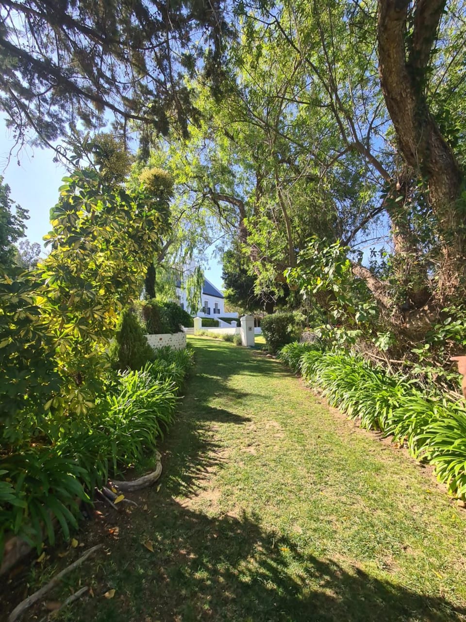 Best Place Ever - Wolwekloof Wine Farm Bed and Breakfast in Western Cape