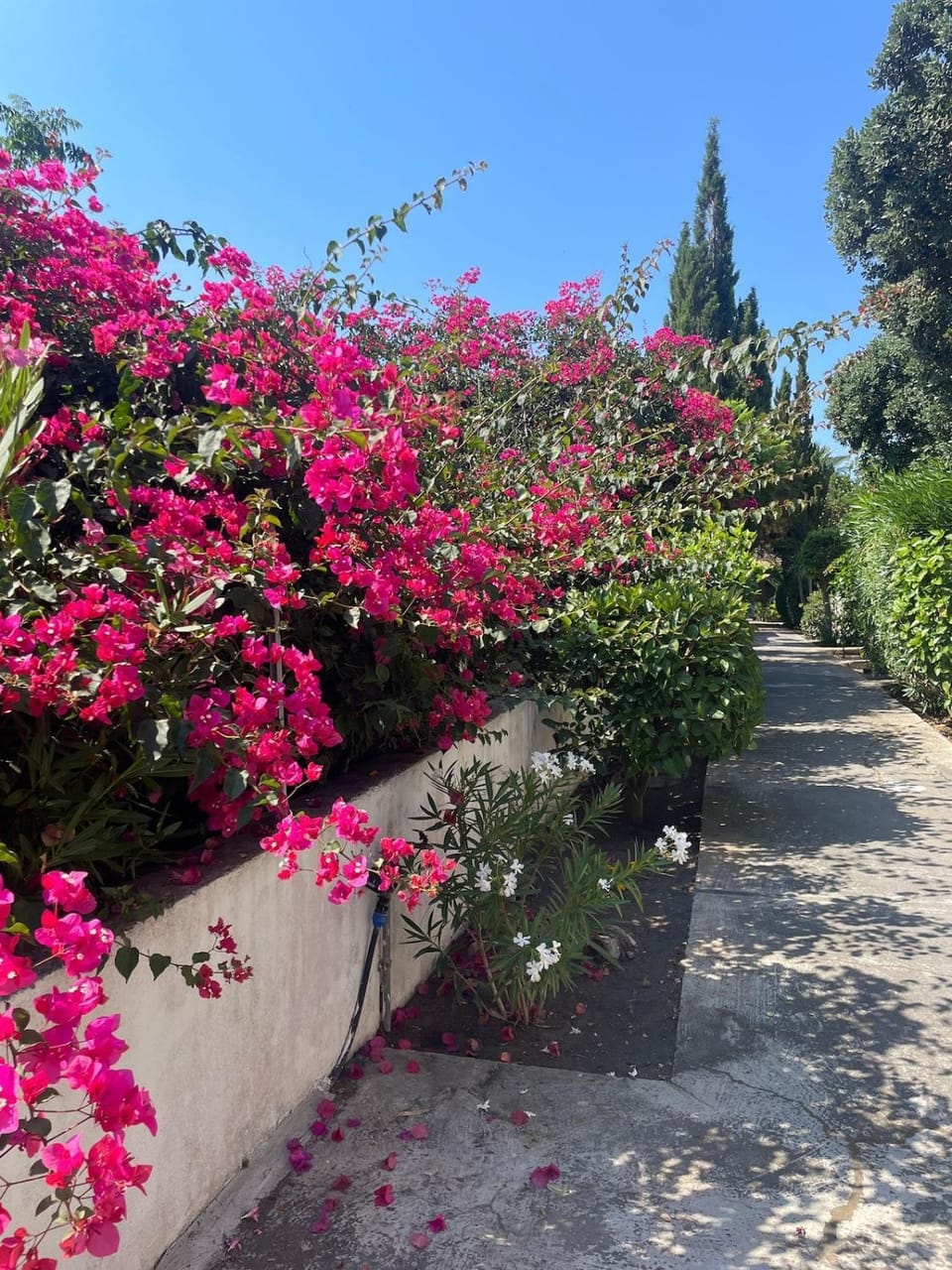 Casa Pippo Apartment in Sicily