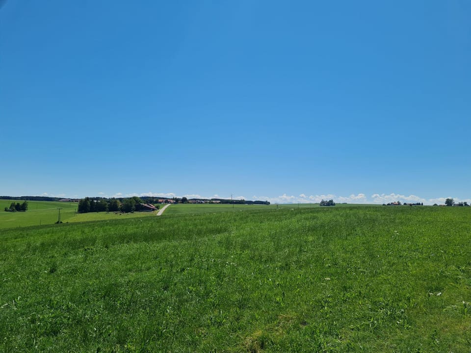 Natural landscape