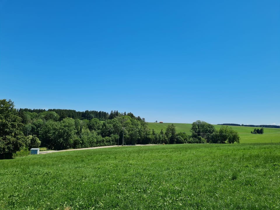 Natural landscape
