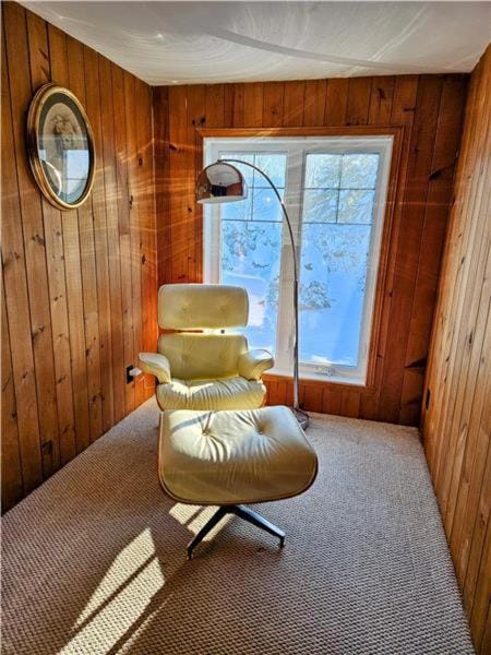 Private Lake Chalet with Sauna, Trails & Game Room House in Sainte-Agathe-des-Monts
