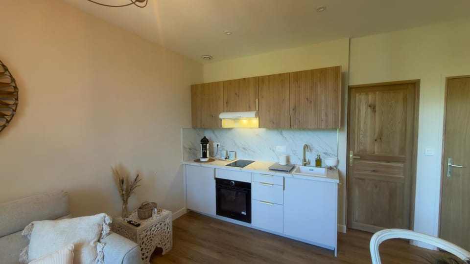 Kitchen or kitchenette, oven
