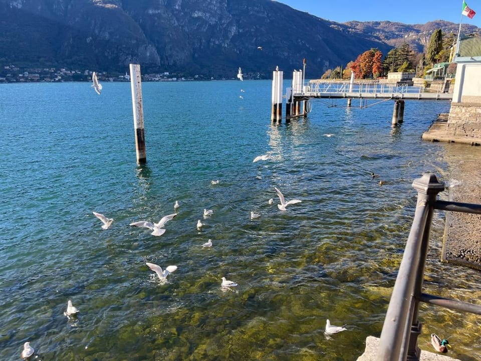 ViandanteLakeHouse - Lake View Apartment Apartment in Province of Lecco