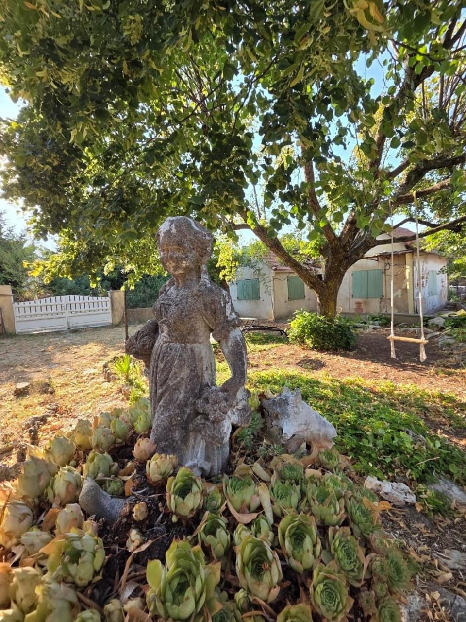 Garden view