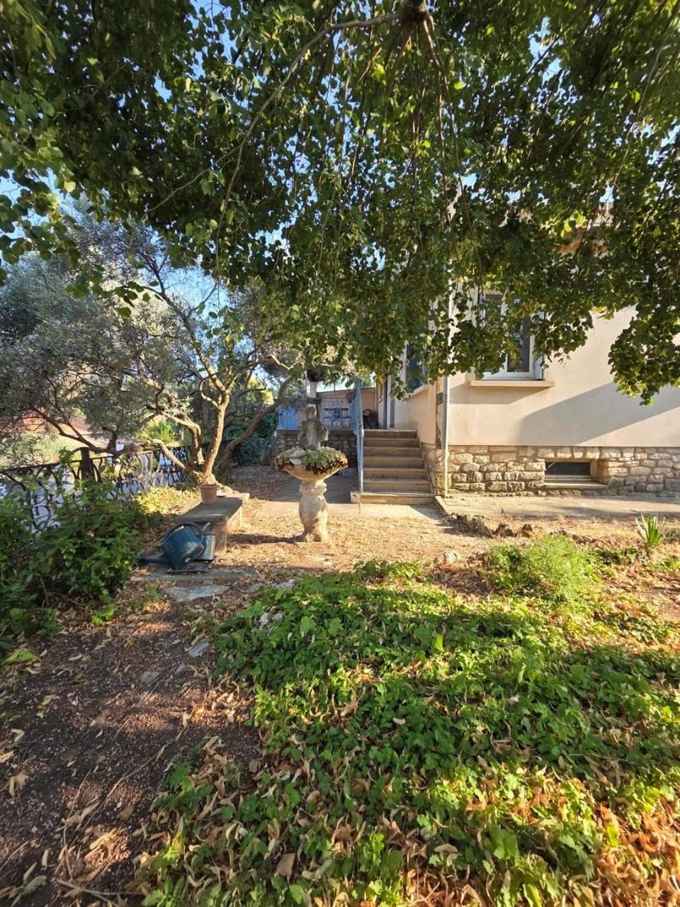 Garden view