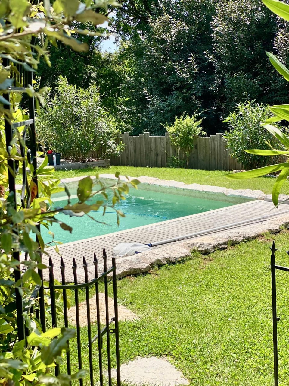 Day, Garden view, Swimming pool