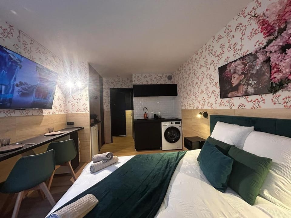 Bed, TV and multimedia, Kitchen or kitchenette, Photo of the whole room, Seating area, Bedroom