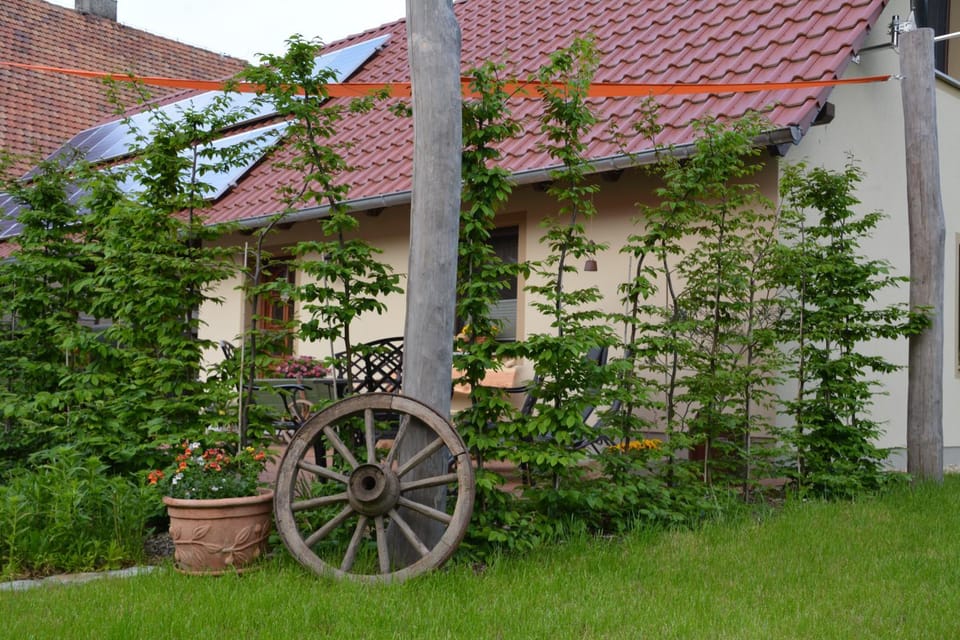 Facade/entrance, Garden