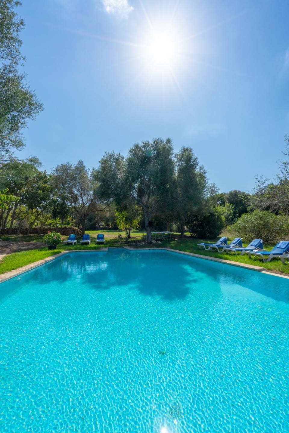 Finca Son Xona Villa in Llevant