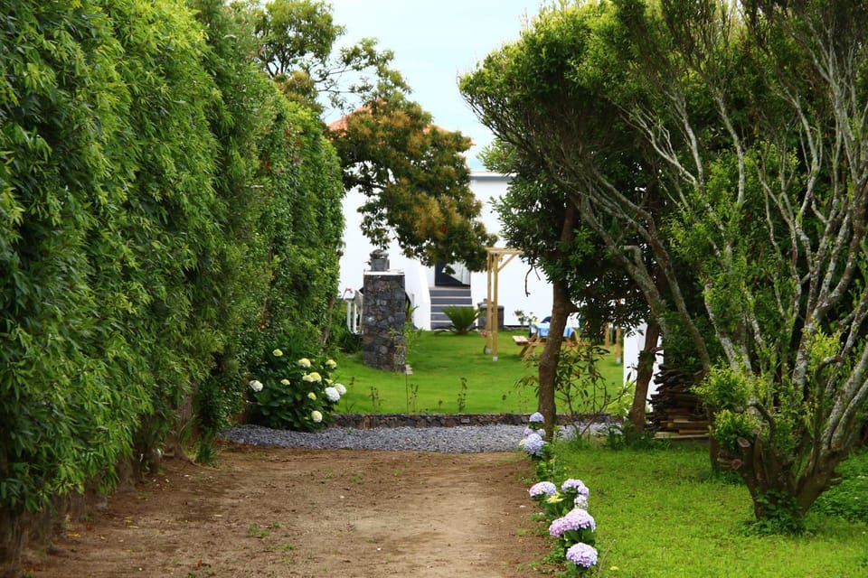 Quinta Velha Apartment in Azores District
