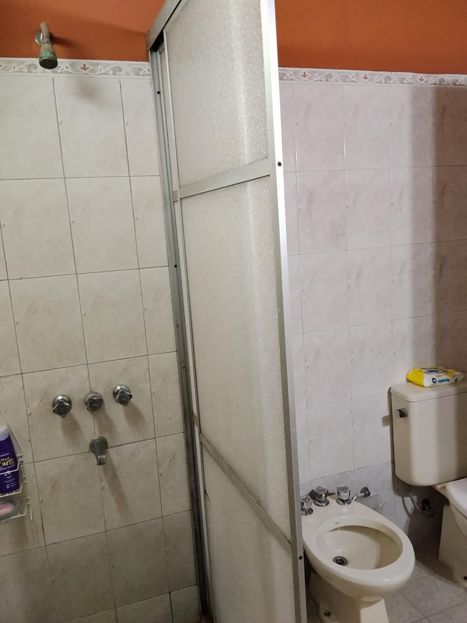 La negrita Vacation rental in Asunción