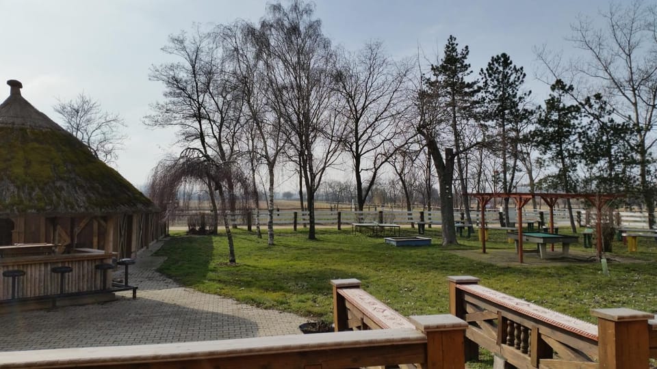 Garden, Garden