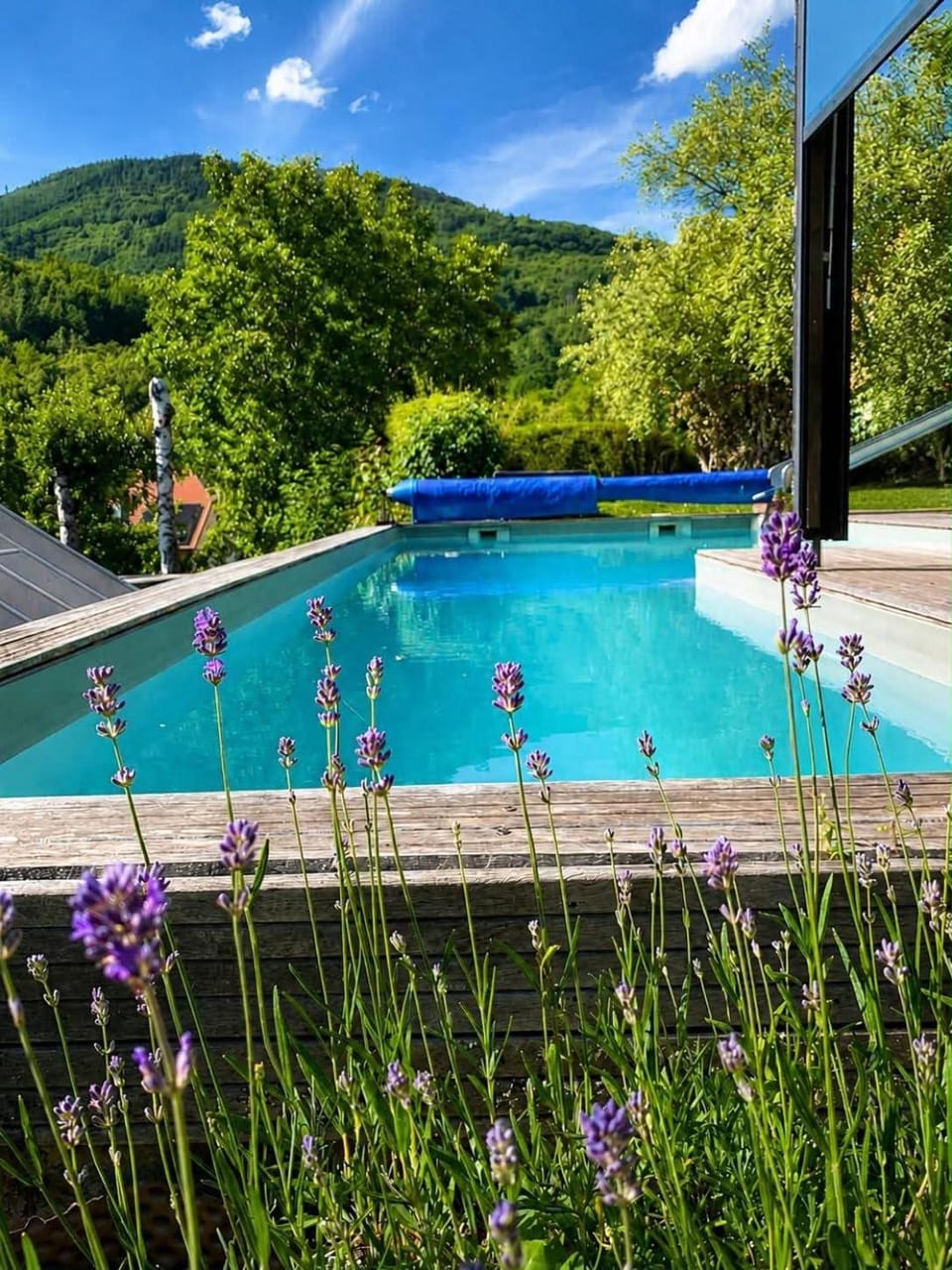 Jacuzzi Piscine Nature Animaux Apartment in Grand Est