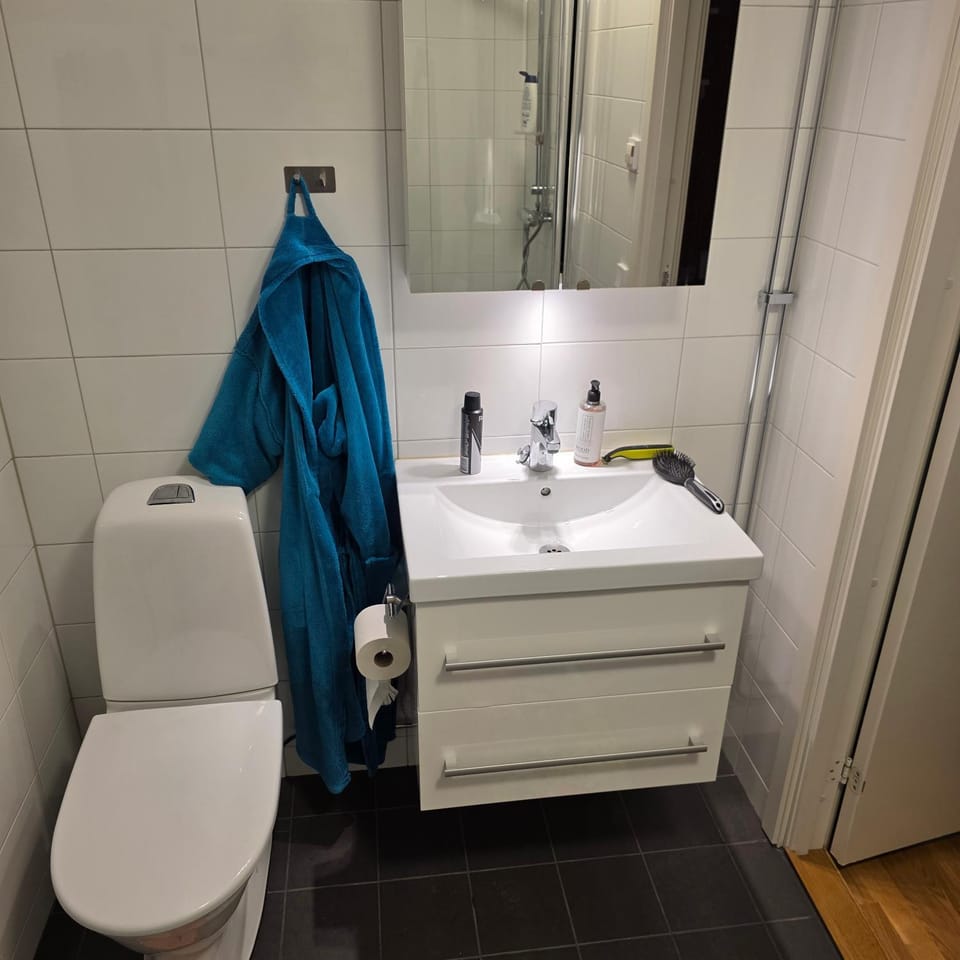 Shower, Toilet