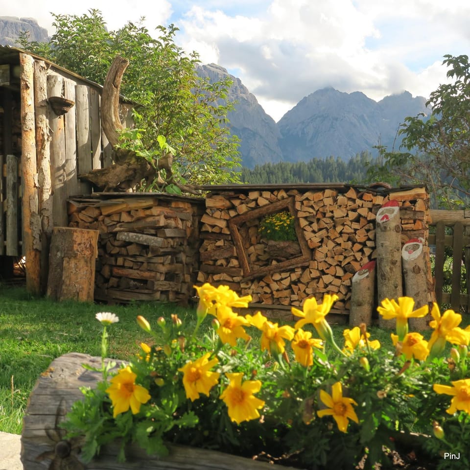Natural landscape, Garden