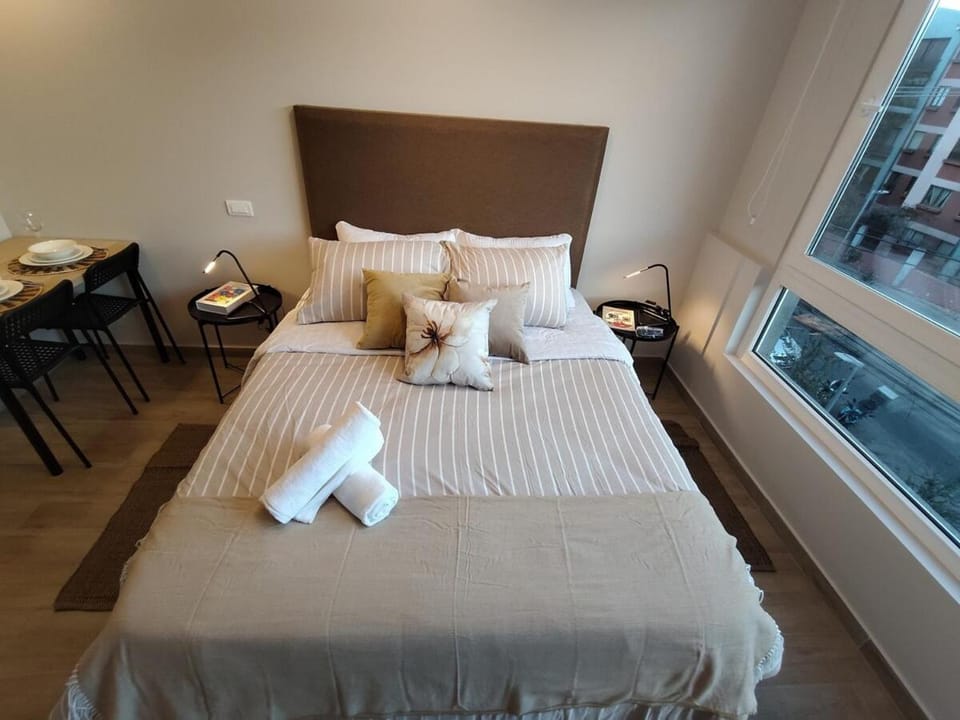 Movistar Arena Metro Parque O'Higgins 2 personas D427 Apartment in Santiago