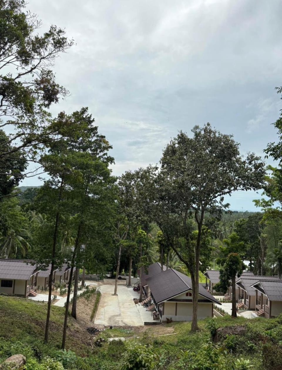 Pnpp Green hill Bed and Breakfast in Ban Tai