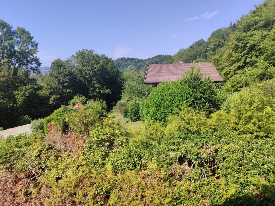 Les catalpas Bed and Breakfast in Auvergne-Rhône-Alpes