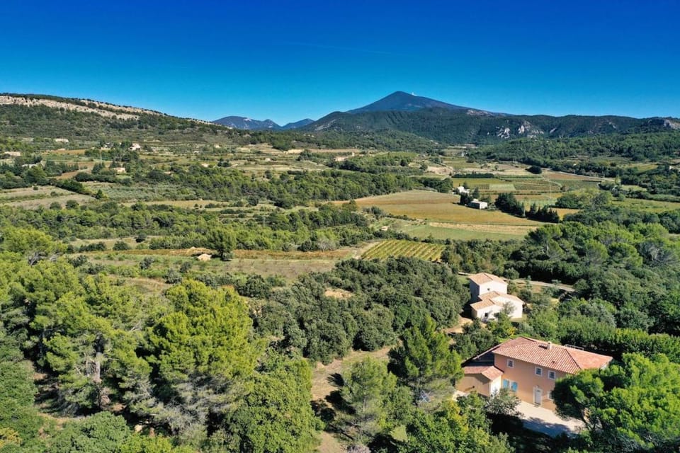Lone Star Provence Villa in Malaucène