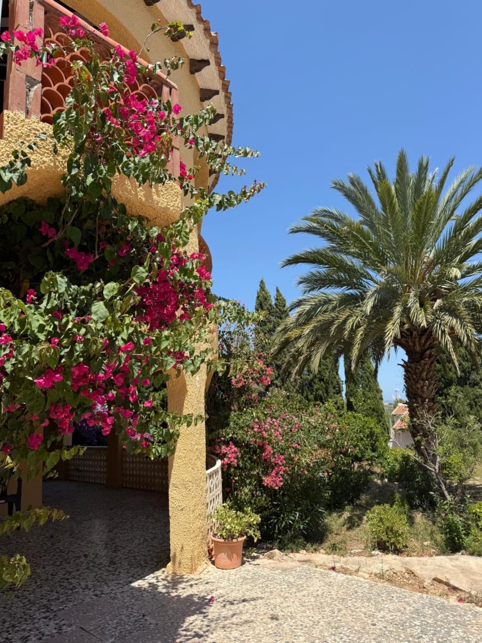 Property building, Garden