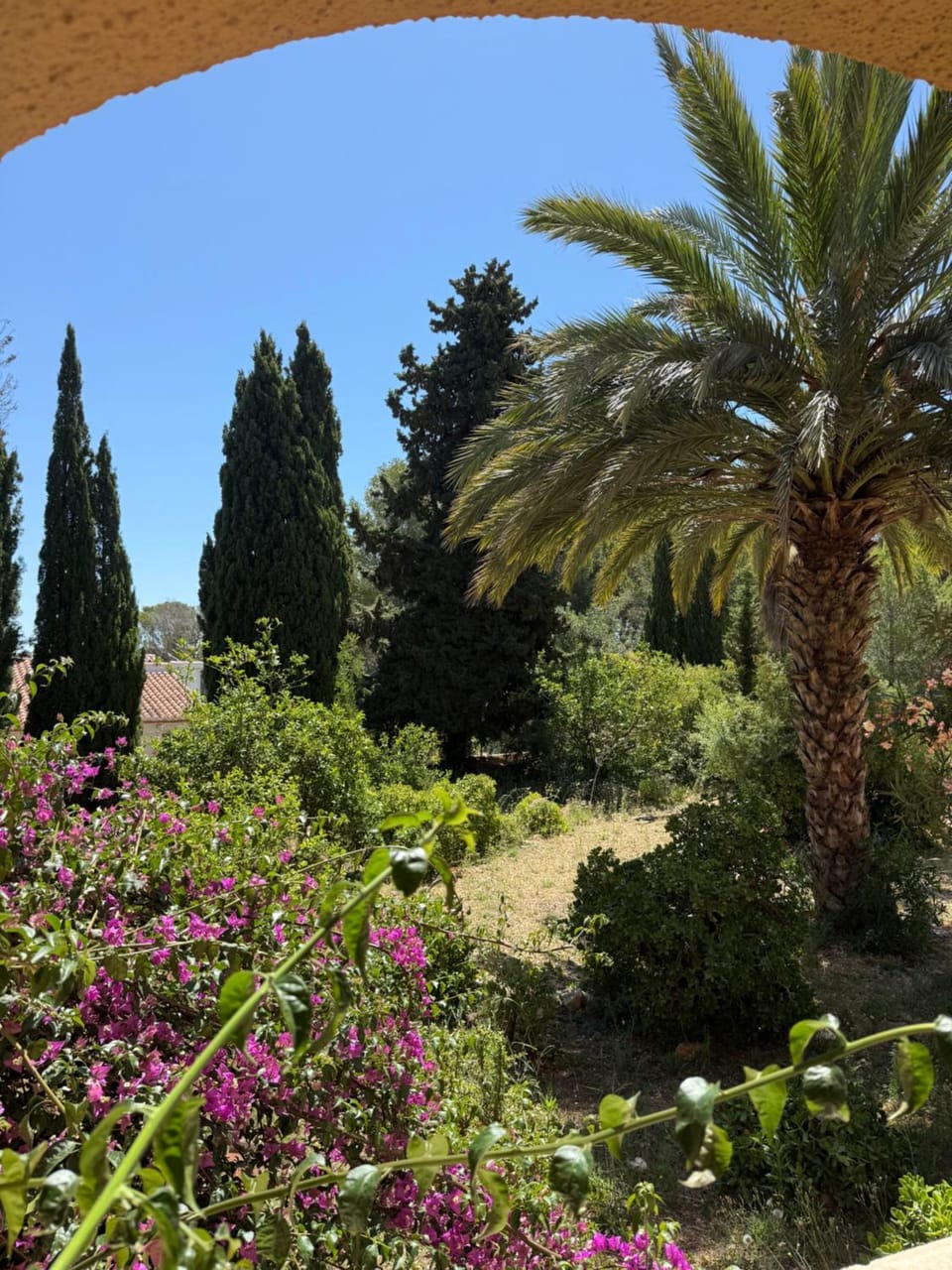 Garden, Garden view