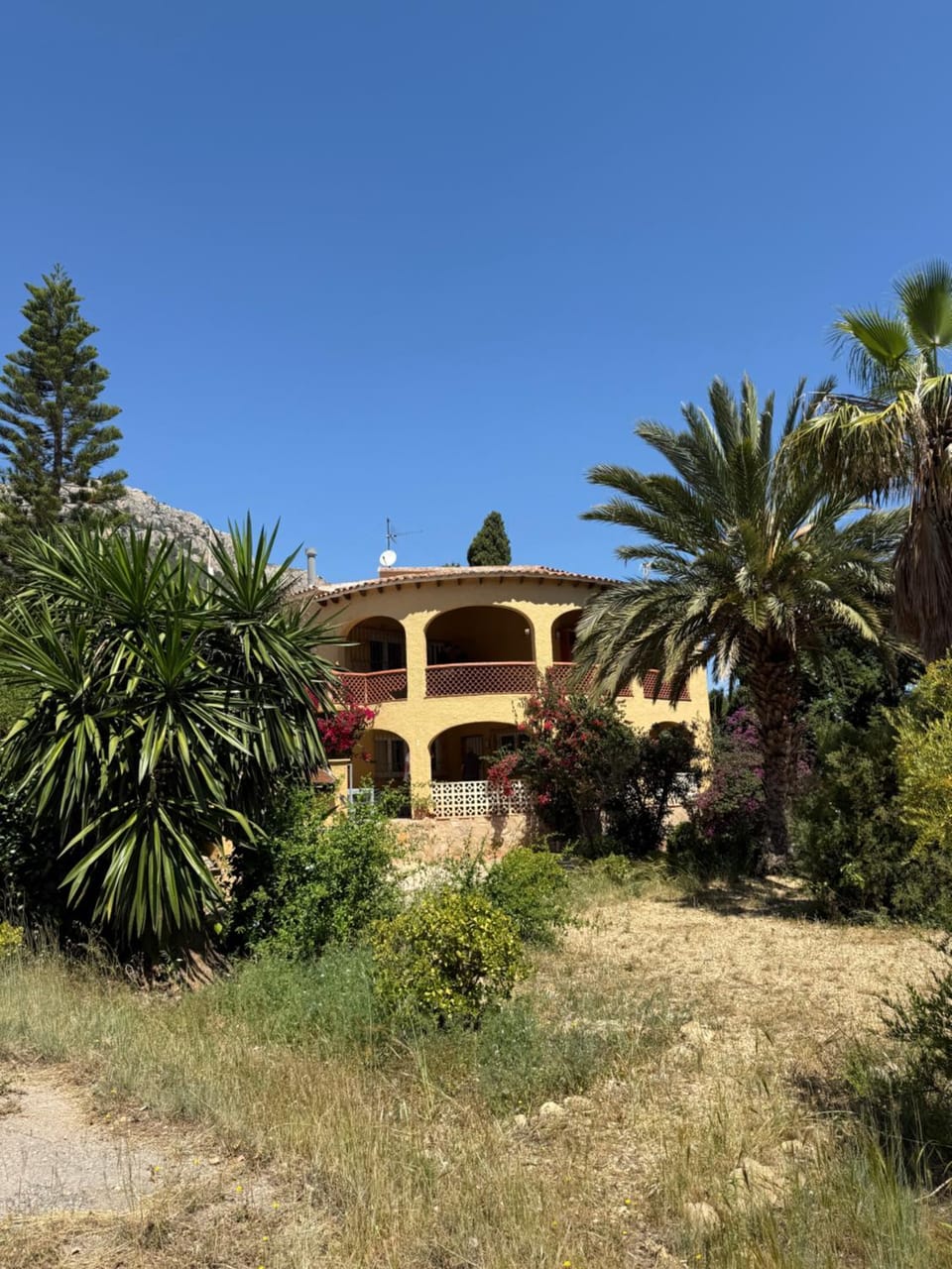 Property building, Garden