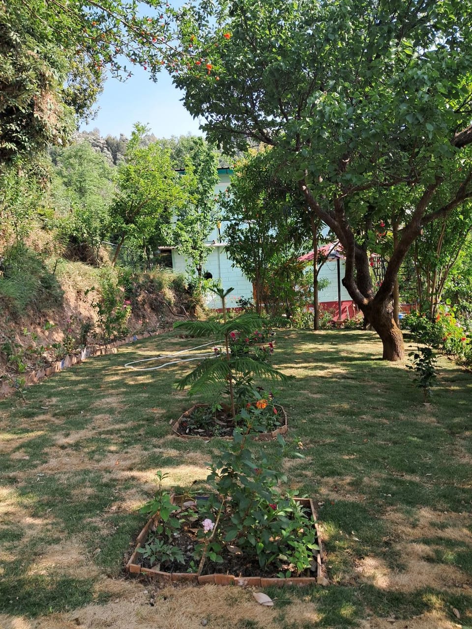 Jaya Sadan homestay in Lap of Himalayas Vacation rental in Uttarakhand