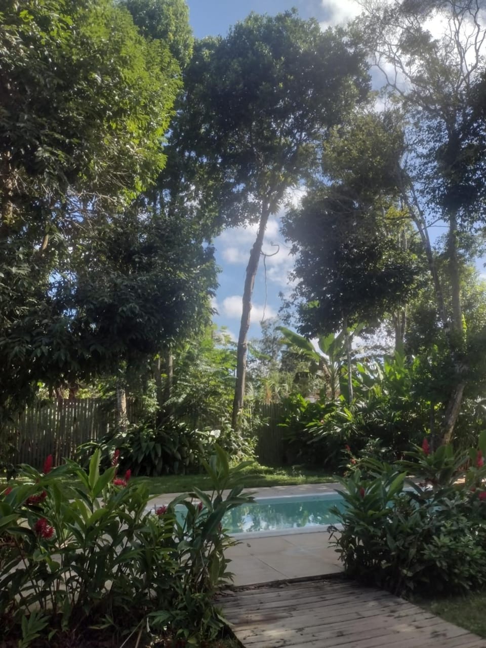 Casa Boutique em trancoso - Piscina & Jardim House in Trancoso
