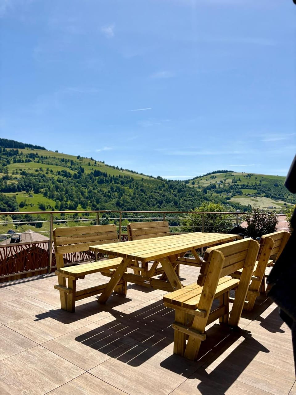 Le cerf N, bain nordique, vue montagne, 8p Chalet in La Bresse